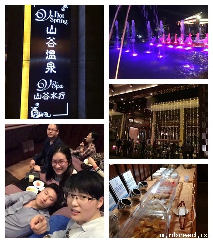 温泉图.jpg 温泉图.jpg