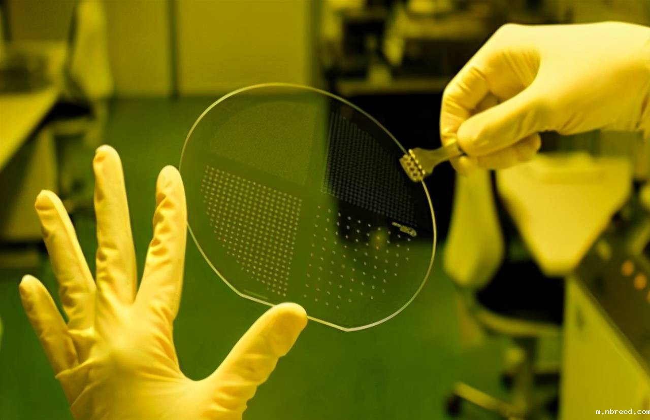 晶圆去胶 晶圆去胶